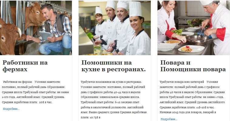 Польша, Германия, Канада? Где украинцам проще всего устроиться на работу с высокой зарплатой